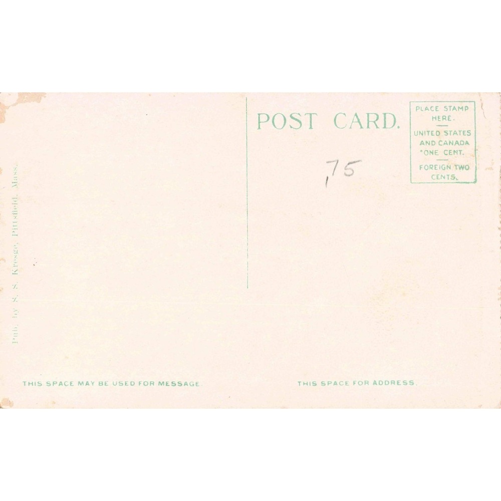 Vintage Onota Lake from Salisbury Grounds Pittsfield Mass Postcard SS Kresge VG - Picture 2 of 2